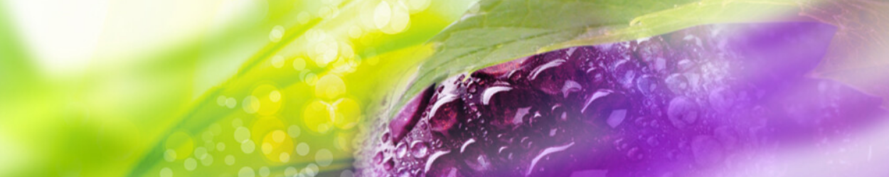 Black Grape — banner